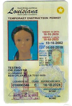 florida drivers license check by social security number